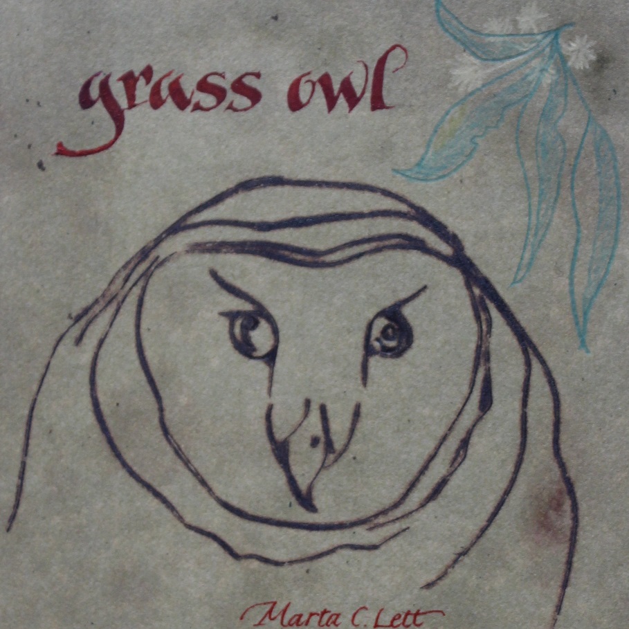 Grass owl miniature 2_909x909px