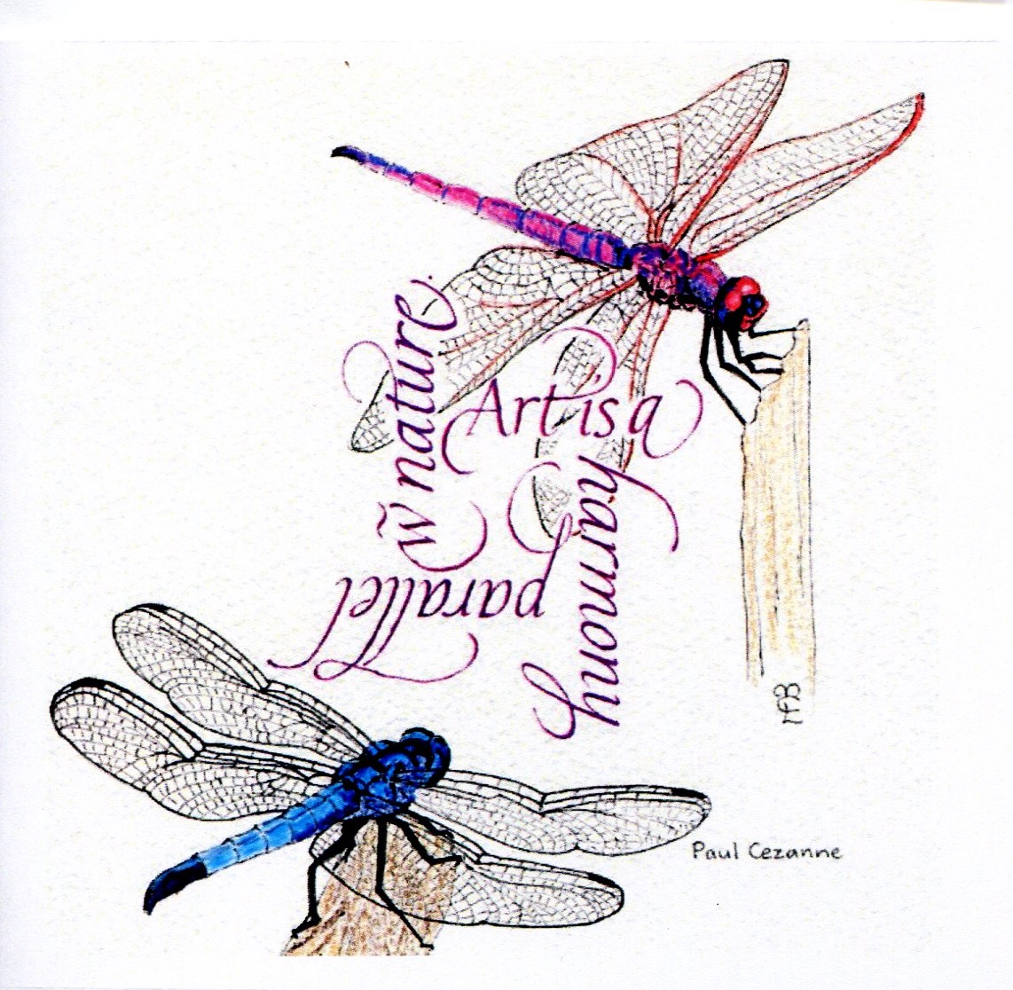 Dragonflies card_Marta Lett